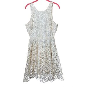 Ivory Lace Fit & Flare Dress Large NWT Boho Cottagecore